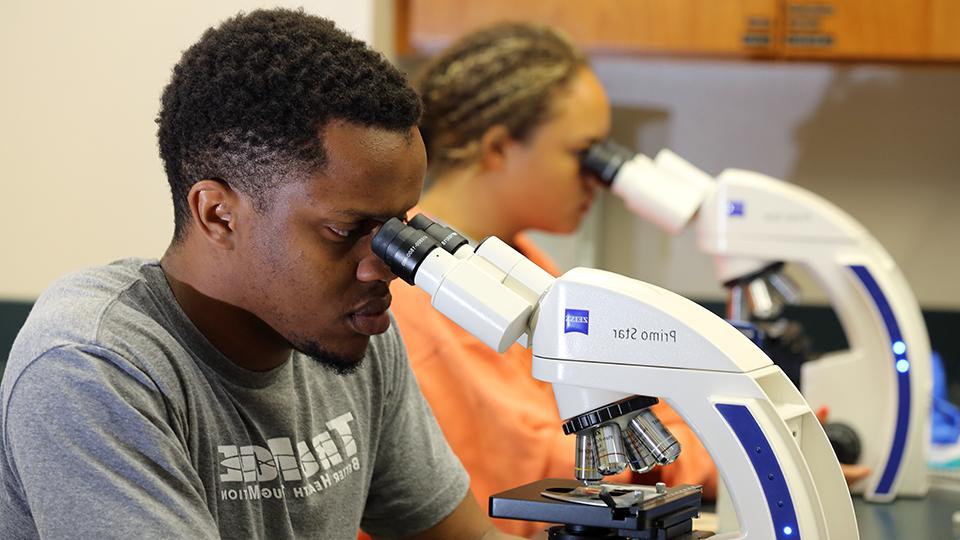 Two 赌钱app可以微信提现 students looking through microscopes